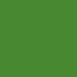JAJFC1021-Lime Green