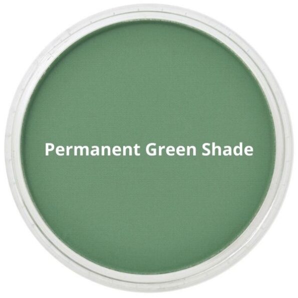 Panpastel Permanent Green Shade
