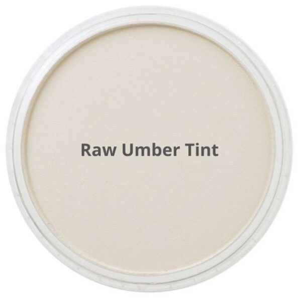 panpastel raw umber (1)