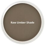 panpastel raw umber shade