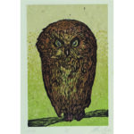 PBulas Owl