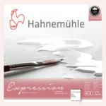 Papier-aquarelle-Hahnemuhle-Expression-24×30-grain-fin-100-Coton