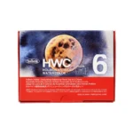 holbeingranulatingmoon.webp